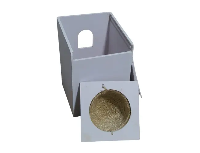 Modelo 03 - Lâmina 5