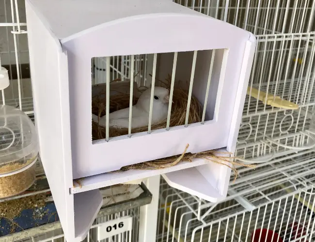 Modelo 16 - Lâmina 2