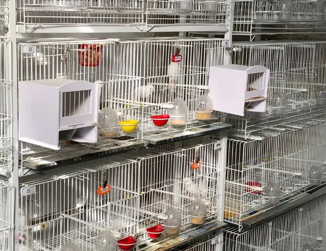 Modelo 16 - Lâmina 3