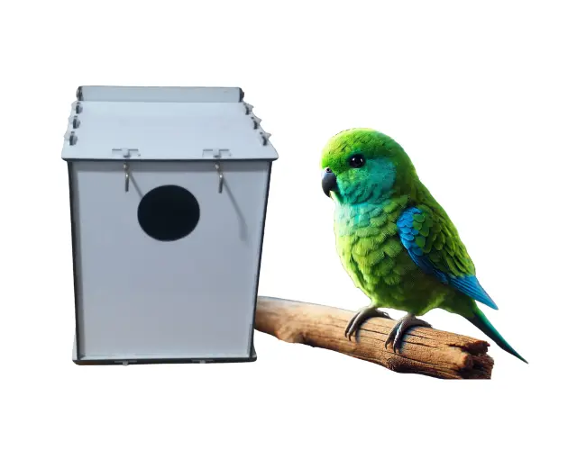 Modelo 23 - Lâmina 1